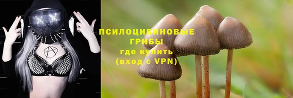 2c-b Сафоново