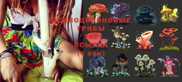 2c-b Сафоново