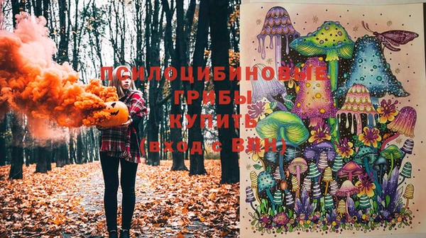 2c-b Сафоново